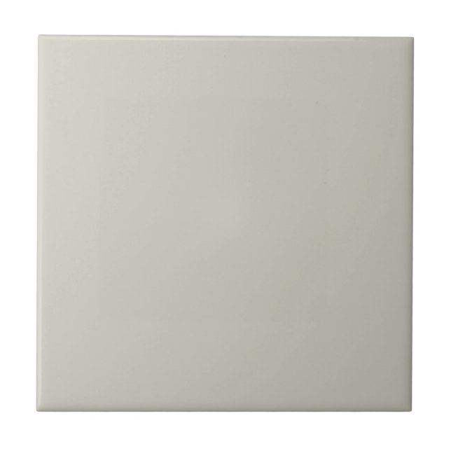 Couleur tendance - Carreaux en céramique gris clai (Devant)