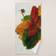 Couleurs colorées des feuilles d'automne