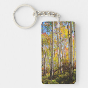 Couleurs d'automne des arbres d'Aspen 5