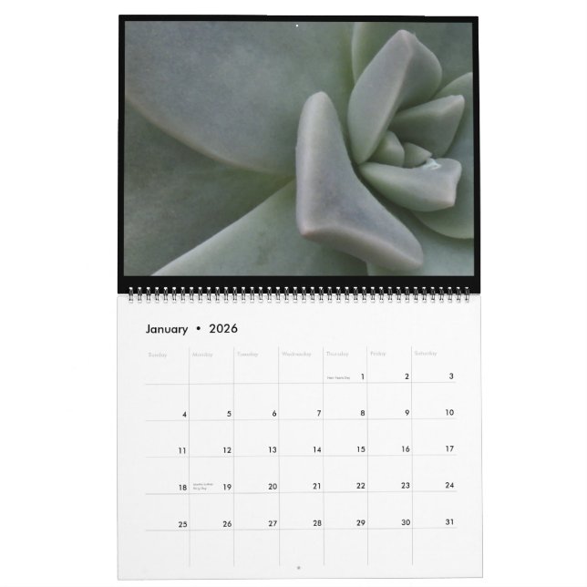couleurs de calendrier de la nature 2011 (Jan 2026)