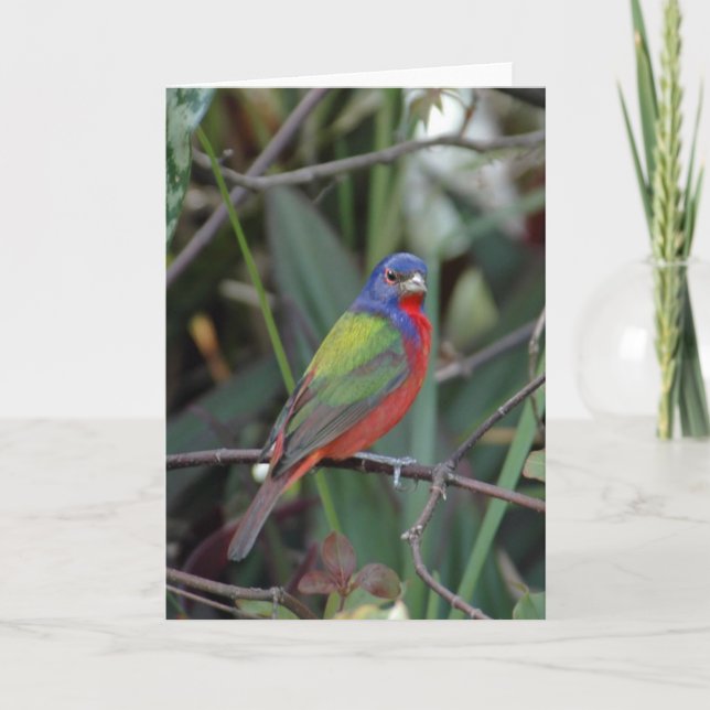 Couleurs de carte (Devant)