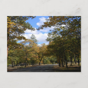 Couleurs de l'automne... Carte postale