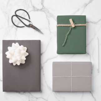 Couleurs d'hiver Enveloppement Papier Plat Feuille
