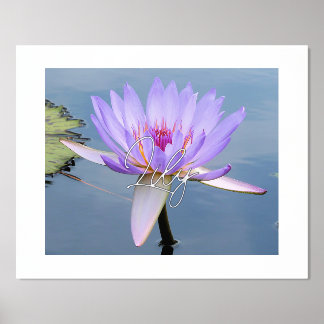 Couleurs douces Eau Lily Texte Imprimer Poster