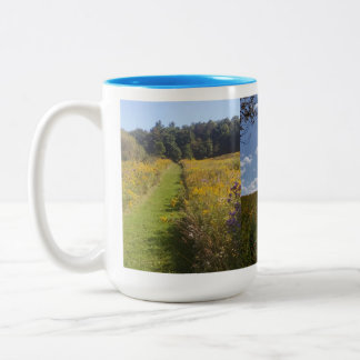 Couleurs Tasse Michias 2