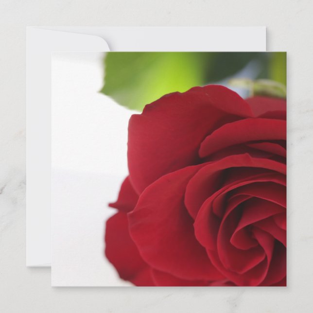 Couleurs vives Rouge Rose Votre carte texte plat (Devant)