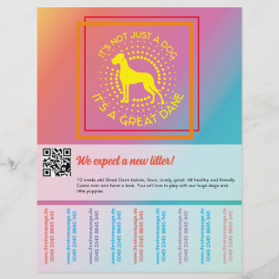 Couleurs vives vendant prospectus