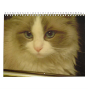 Count-down-Kalender 2013 Kalender