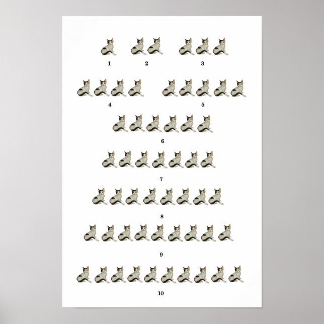 Counting Kittens Poster (Vorne)