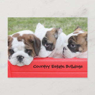 Country Anwesen Bulldogs Welpenwagen Postkarte