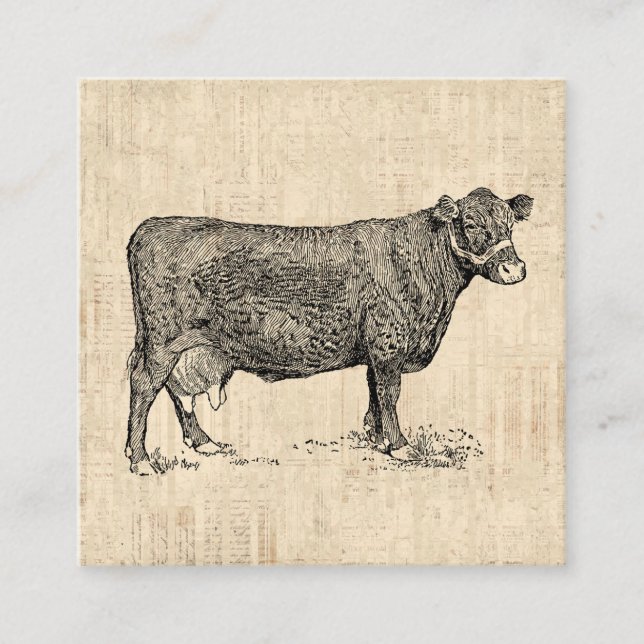 Country Cow Illustriert Art Begleitkarte (Vorderseite)