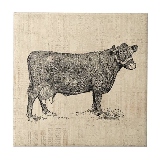 Country Cow Illustriert Art Fliese (Vorderseite)