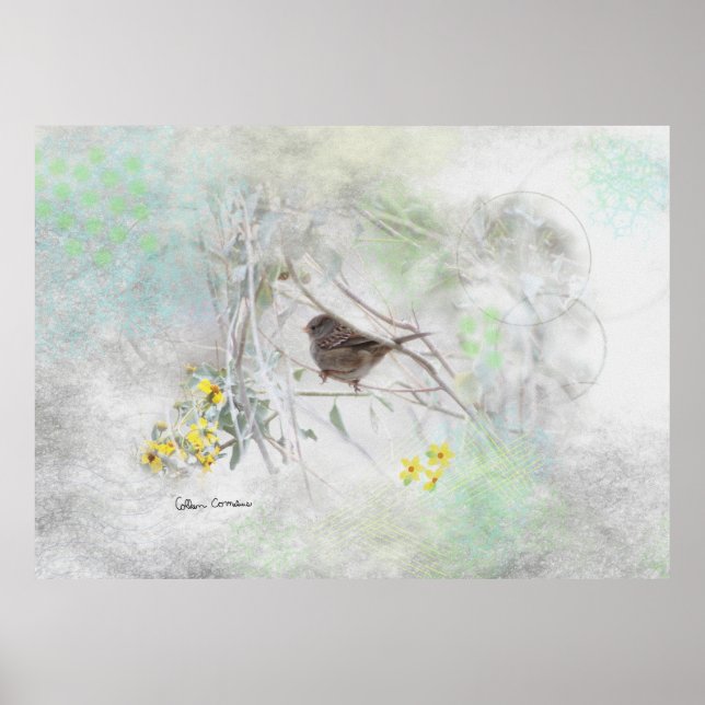 Country Dreams Poster (Vorne)