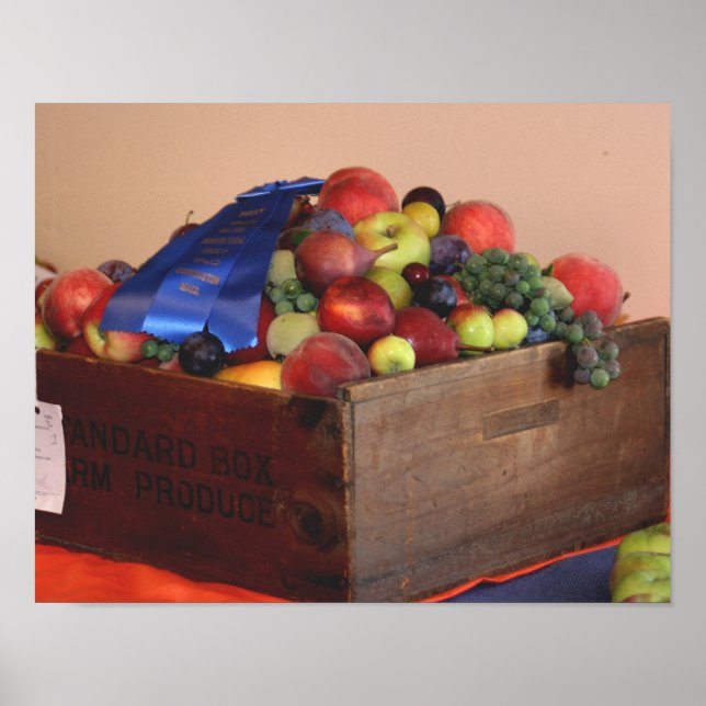 Country Fair Frucht Erster Preis Blue Ribbon Poster (Vorne)
