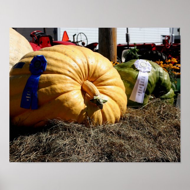 Country Fair Giant Pumpkin Blue Ribbon Poster (Vorne)