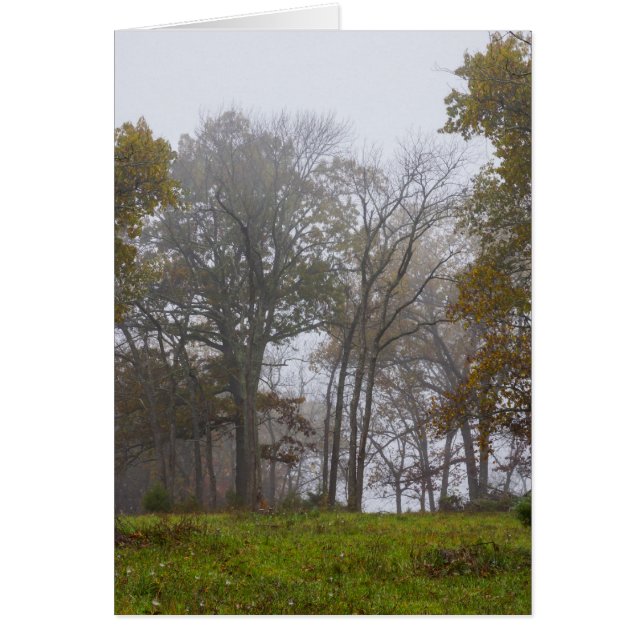 Country Foggy Fall Morning (Vorne)
