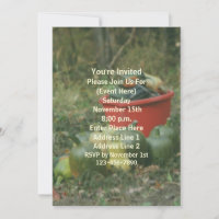 Country Garden Harvest Nature Party