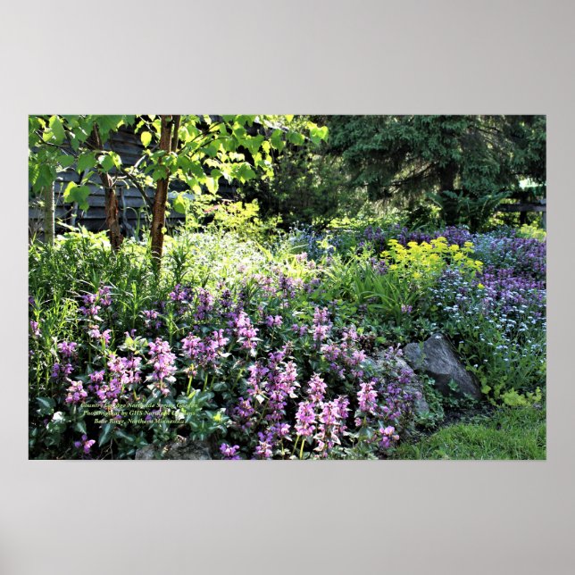 Country Hütte Northside Spring Garden Poster (Vorne)