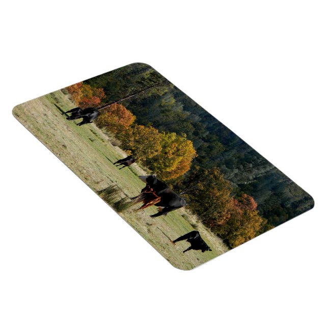 Country in the Fall... Magnet (Rechte Seite)