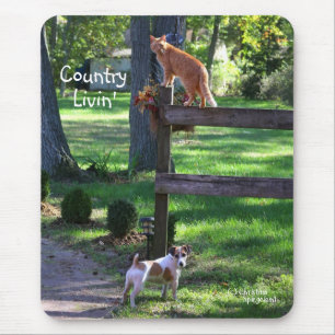 Country Livin Cat Jack Russell Hund Mousepad
