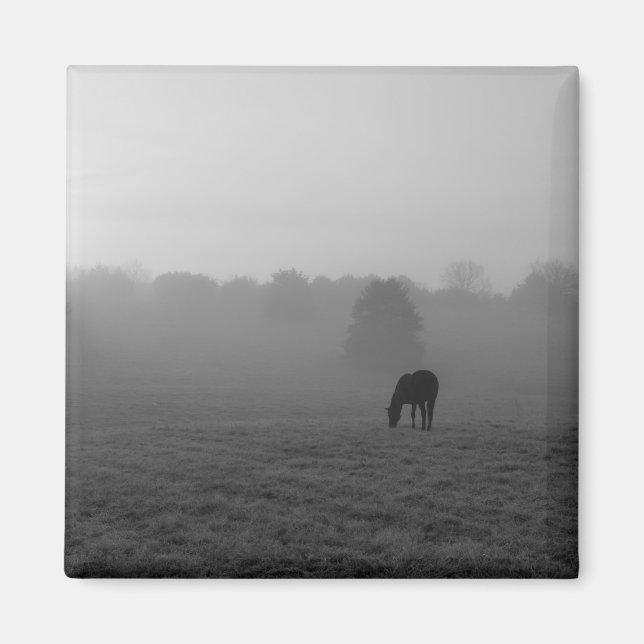 Country Morning Grayscale Magnet (Vorne)