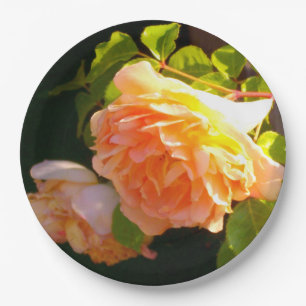Country Peach Gelben Rosen Pappteller