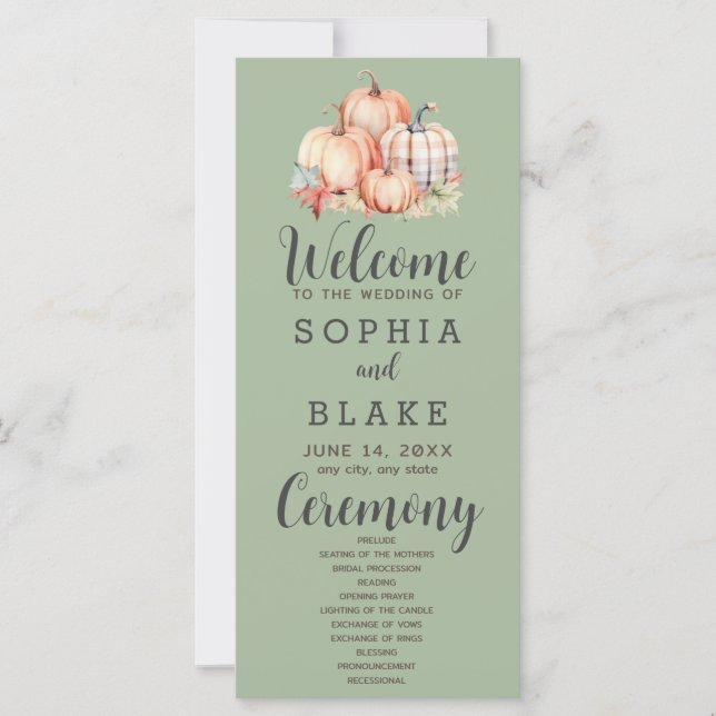 Country Pumpkins Kariert Fall Green Wedding Progra (Vorderseite)