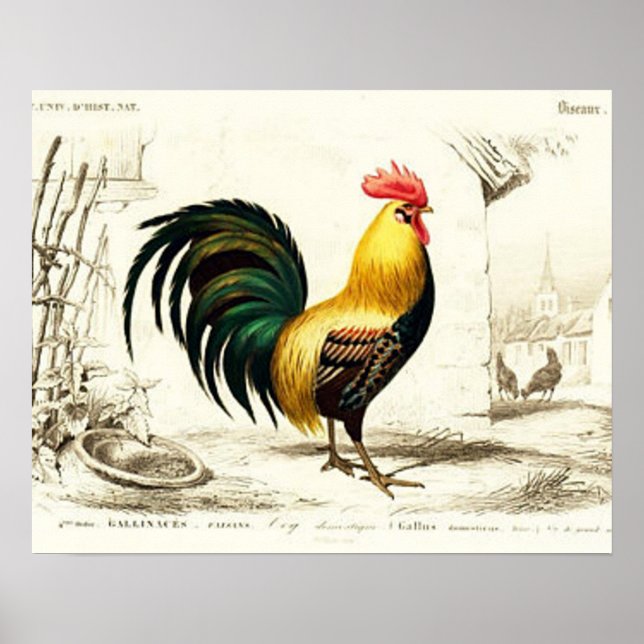 Country Rooster Vintage Zuhause-Wanddekoration Poster (Vorne)