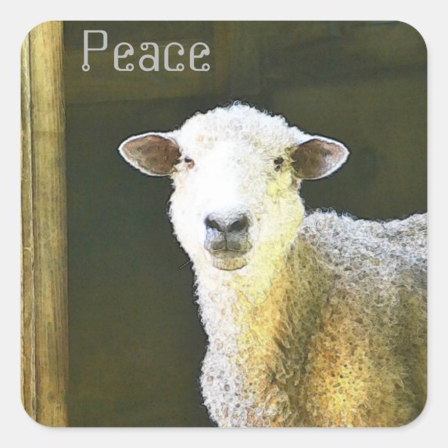 Country Sheep Peace Quadratischer Aufkleber (Vorderseite)