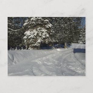 Country Snowy Driveway Postkarte
