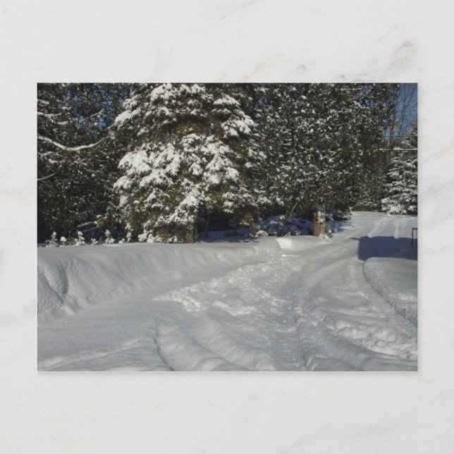 Country Snowy Driveway Postkarte (Vorderseite)