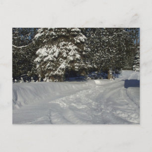 Country Snowy Driveway Postkarte