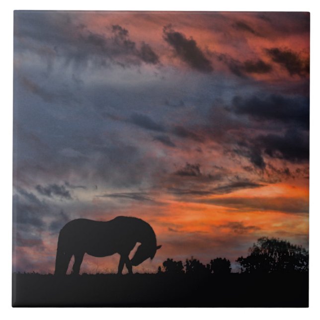 Country Sunrise Fliese (Vorderseite)