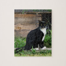 Country Tuxedo Cat