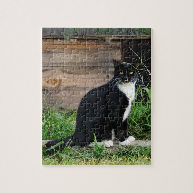 Country Tuxedo Cat (Vertikal)