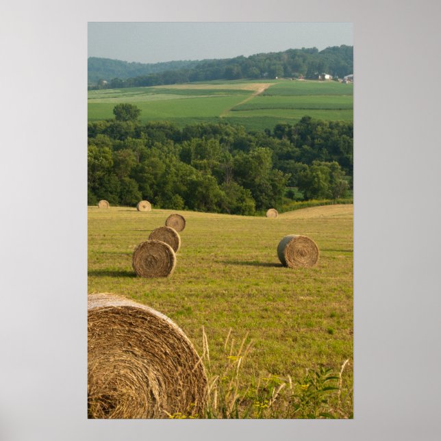 Countryside Hay Bales Poster (Vorne)