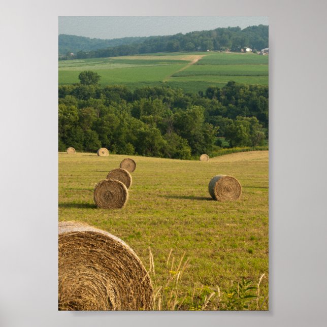 Countryside Hay Bales Poster (Vorne)