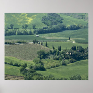 Countryside near Montepulciano, Val d'Orcia, Poster