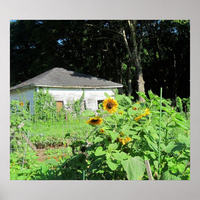 Countyr Garden Poster (Vorne)