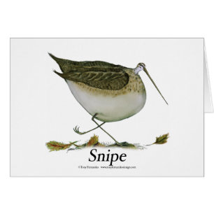 coup de feu, fernandes élégants