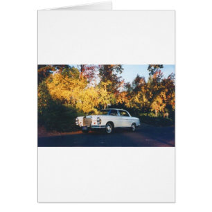 Coupé 1965 de Mercedes-Benz 220SEb