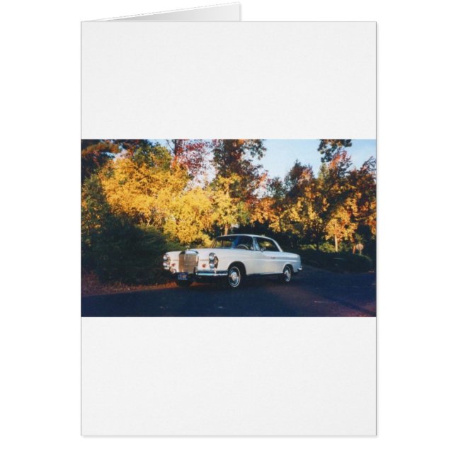 Coupe Mercedes-Benz 220SEb 1965 (Devant)