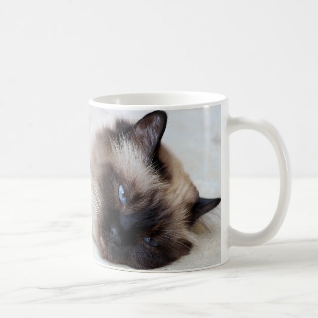 Coupe Siamese Cat Pet Mug Coffee Mug (Droite)