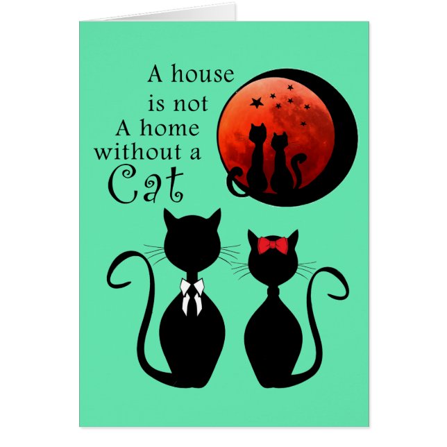 Couple Chats à la maison (Devant)