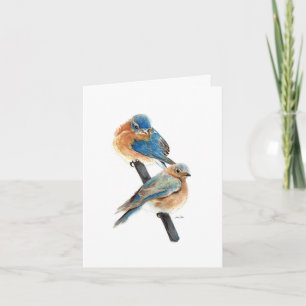 Couple de Merlesbleus Peinture Bon Anniversaire