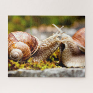 Couple d'escargots, Puzzle