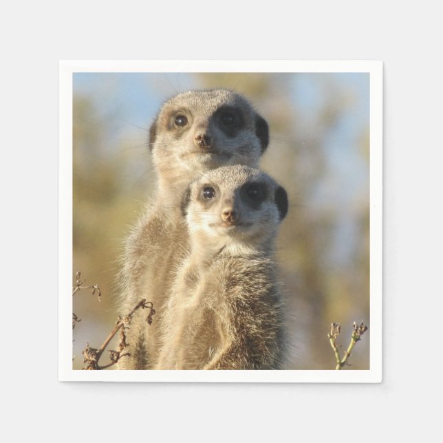 Couple of Meerkats Photo Serviette (Vorderseite)