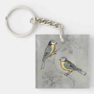 Couples argentés d'oiseau de la volière