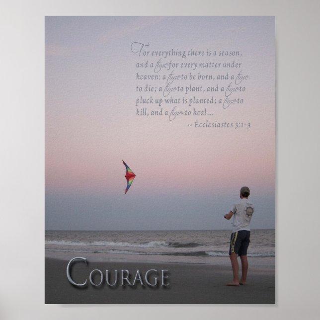 Courage Kite Flyer on Beach Poster (Vorne)