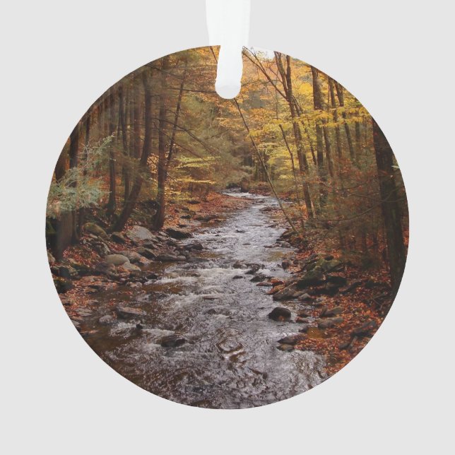 Courant de Pocono en automne (dos)